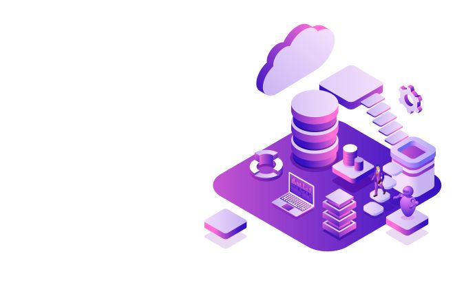 Innovative Web Application Solutions